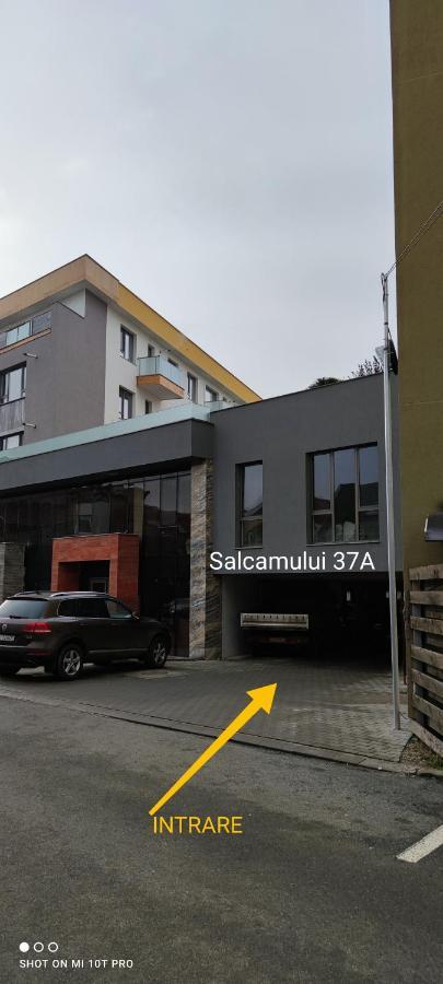 Thome Arena Apartament